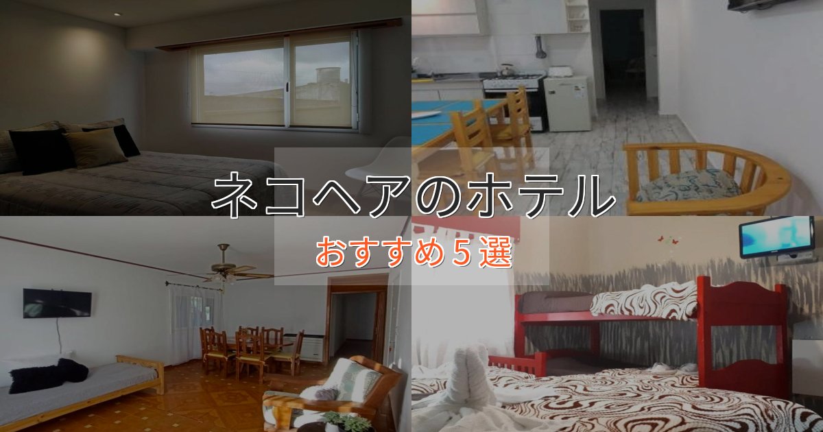 実際に泊まって分かったネコヘアのスタイリッシュホテル5選【モダン空間】 実際に泊まって分かったネコヘアのスタイリッシュホテル5選【モダン空間】
